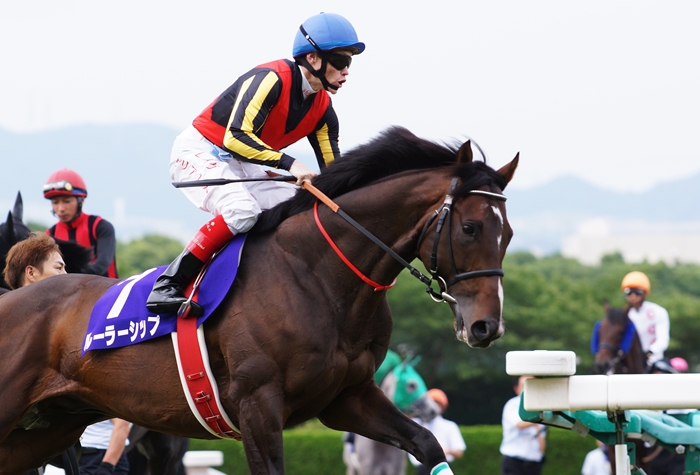 競馬が人生の比喩なのではない 人生が競馬の比喩なのである 寺山修司 Turfに魅せられて 写真紀行