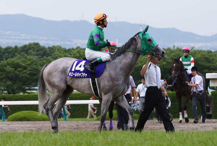 競馬が人生の比喩なのではない 人生が競馬の比喩なのである 寺山修司 Turfに魅せられて 写真紀行