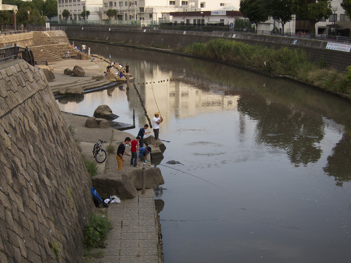 釣れたウナギ_e0186081_22343866.jpg