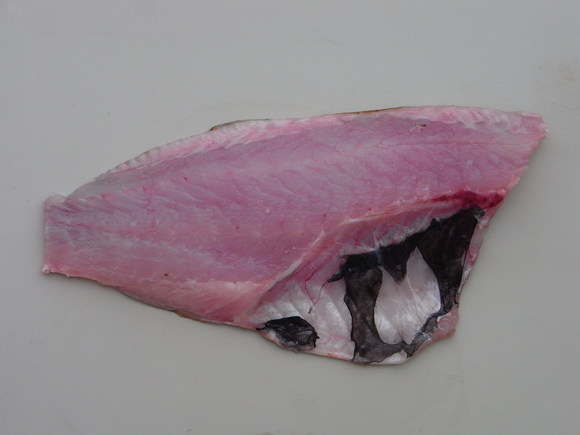 ヤナギノマイを食べてみた 1616 きたえもんの お魚ブログ ヤナギノマイを食べてみた 1616 きたえもんの お魚ブログ