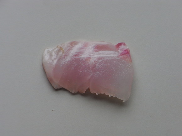 ヤナギノマイを食べてみた 1616 きたえもんの お魚ブログ ヤナギノマイを食べてみた 1616 きたえもんの お魚ブログ