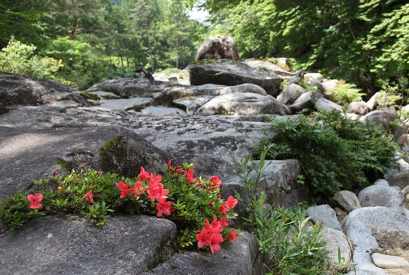 f0000789_2225074.jpg