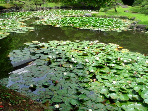 「小石川後楽園」_d0125890_2021324.jpg