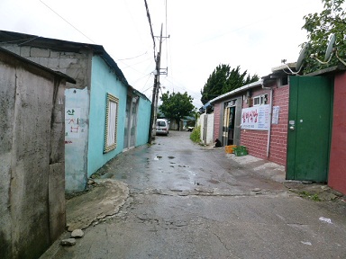 a0140305_0355748.jpg