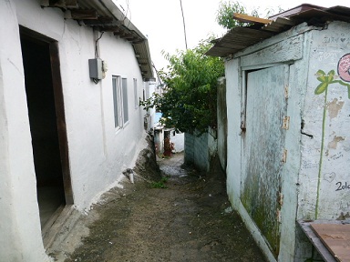 a0140305_038969.jpg