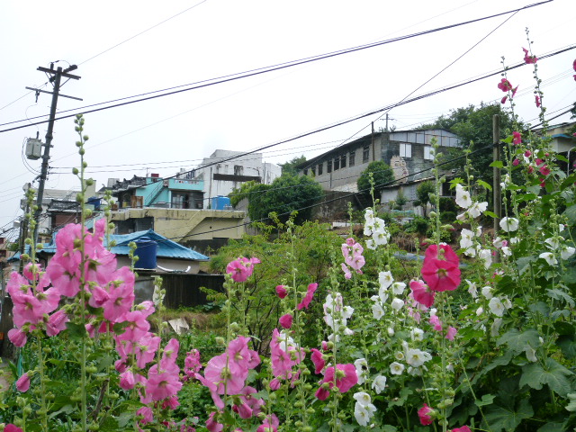 a0140305_091930.jpg