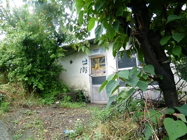a0140305_1251666.jpg