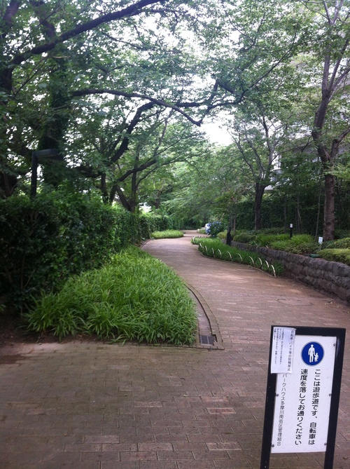 e0211806_11452514.jpg