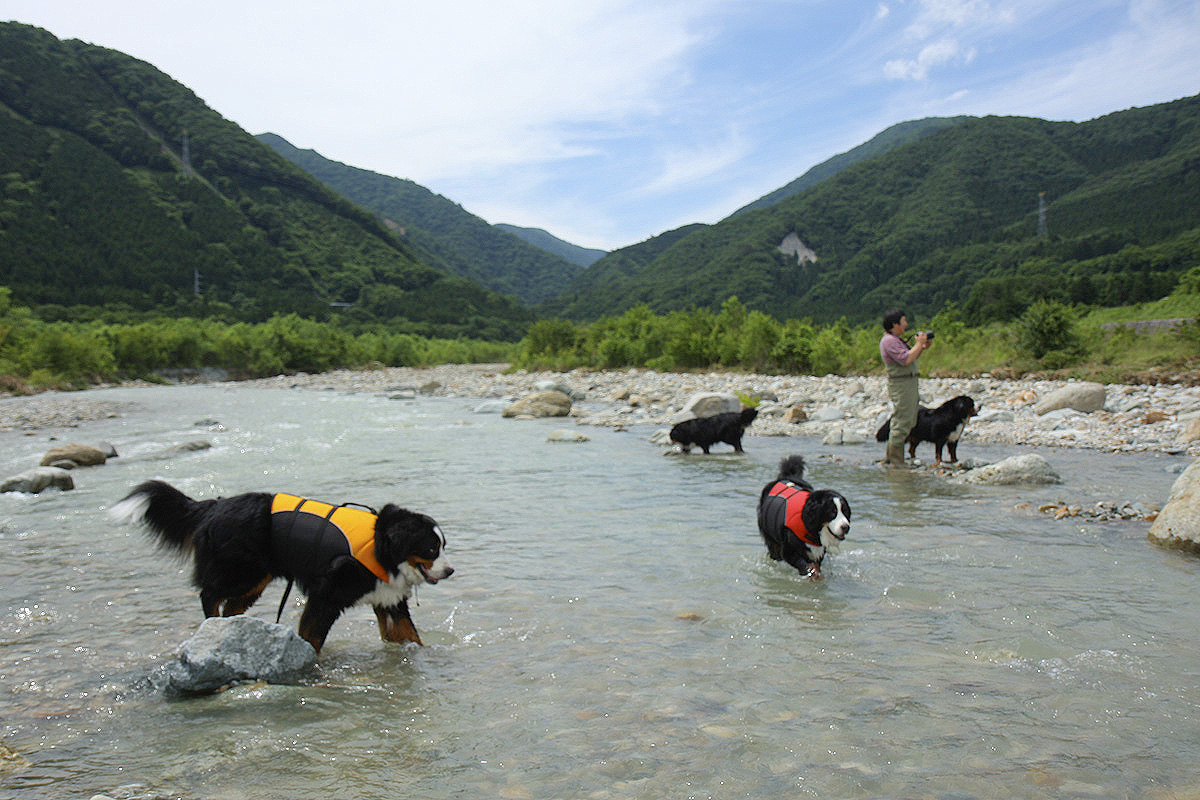 増水も濁りもなんのその_f0137508_22543983.jpg