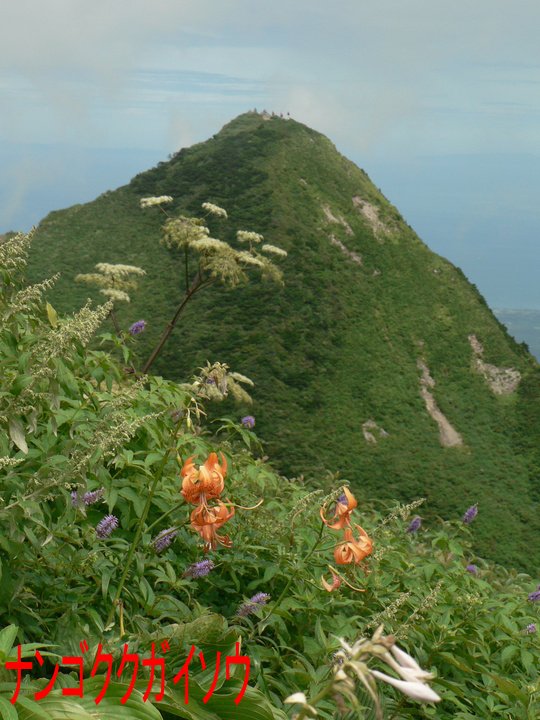 f0219710_814984.jpg
