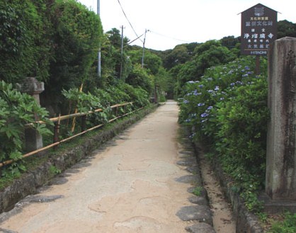 浄瑠璃寺 九体阿弥陀仏_e0048413_1651380.jpg