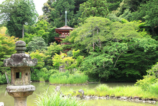 浄瑠璃寺 九体阿弥陀仏_e0048413_1654152.jpg