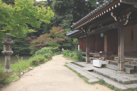 浄瑠璃寺 九体阿弥陀仏_e0048413_1661131.jpg