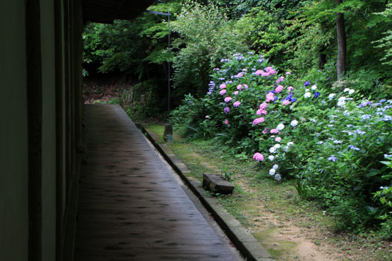 浄瑠璃寺 九体阿弥陀仏_e0048413_1662815.jpg