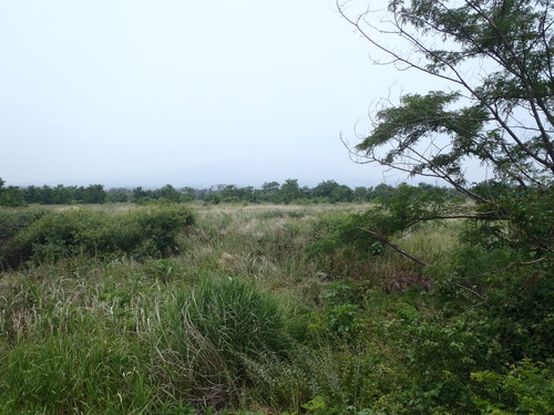 a0236914_12048.jpg