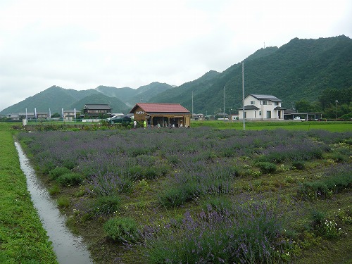 f0223914_1927122.jpg