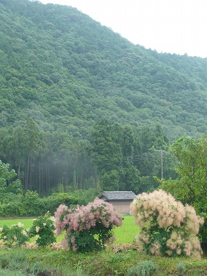 f0223914_19271658.jpg
