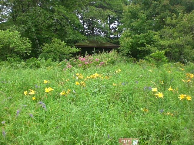 HAKONE－2_e0269917_20122746.jpg