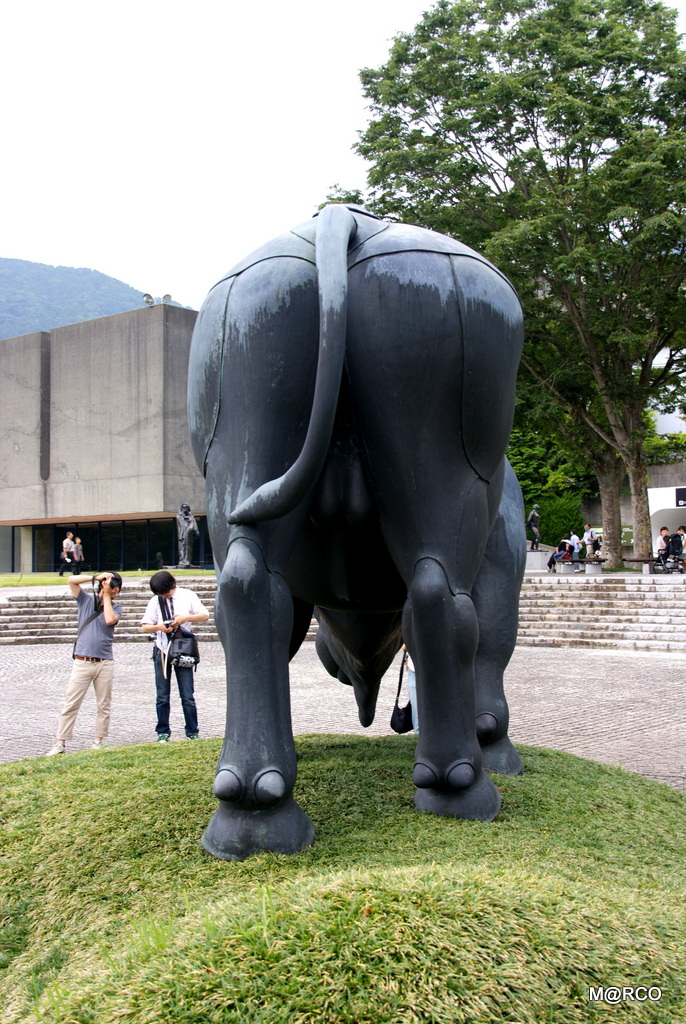 a0240721_1421077.jpg