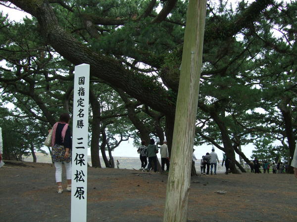 東海道清水駿河の旅_b0132024_104769.jpg