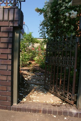 f0170524_731288.jpg