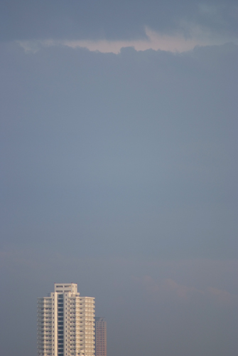 a0145825_2051317.jpg