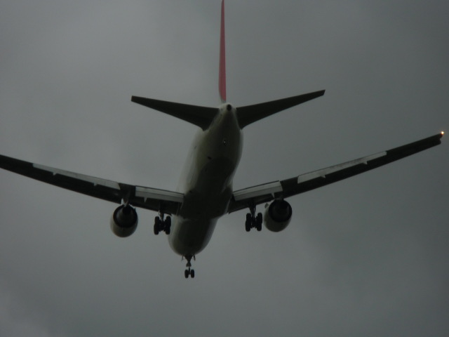 f0114128_181834.jpg