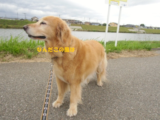 f0114128_18202955.jpg