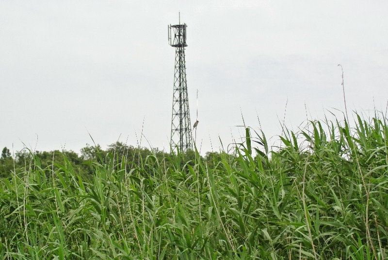 f0171028_13372493.jpg