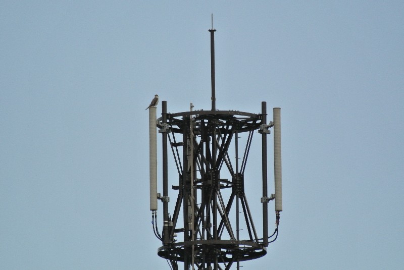 f0171028_1353382.jpg