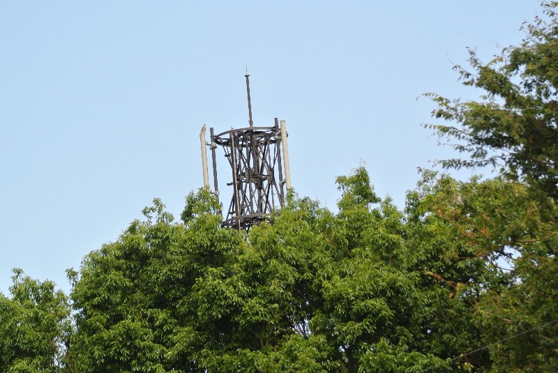 f0171028_13551534.jpg