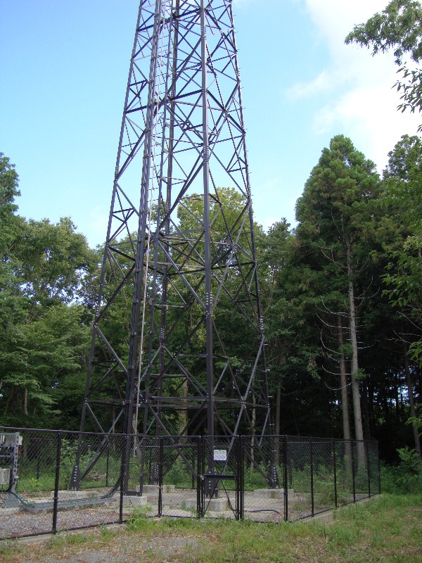 f0171028_1431411.jpg