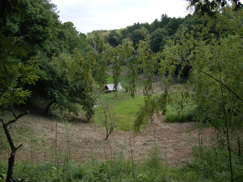 f0171028_1432937.jpg