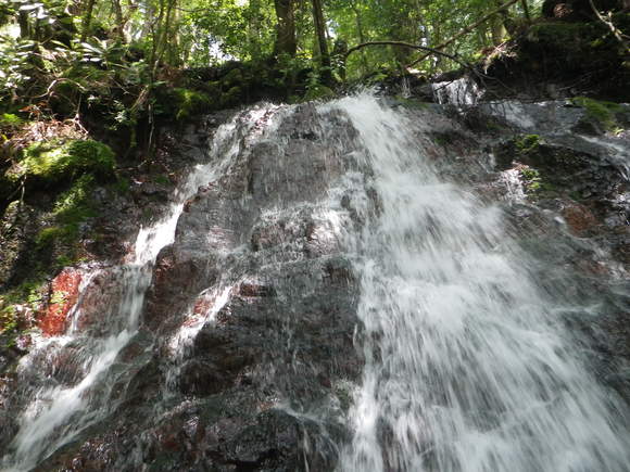 a0243432_13301112.jpg