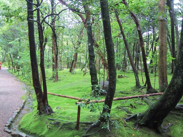 秋篠寺　　　　　　　奈良県奈良市_b0180433_21195916.jpg