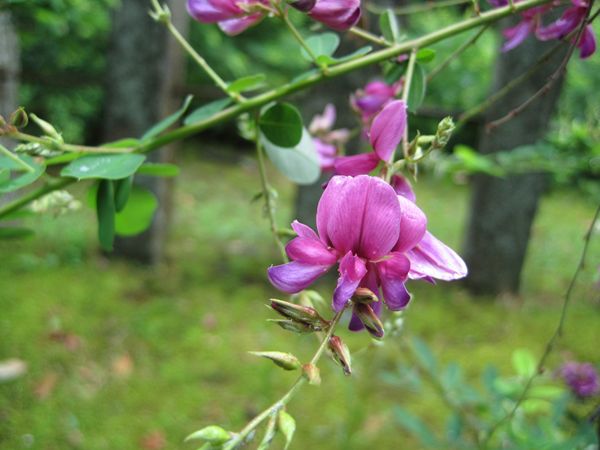 秋篠寺　　　　　　　奈良県奈良市_b0180433_21224088.jpg