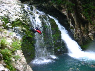 c0113733_1531.jpg