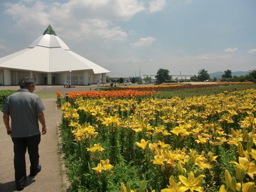 ２８日　北潟の菖蒲園と　春江のゆり苑へ」_f0040734_0511779.jpg