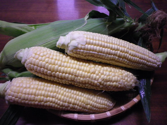 f0209334_812098.jpg