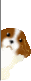e0109336_1571712.gif