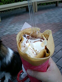 f0210439_7482676.jpg