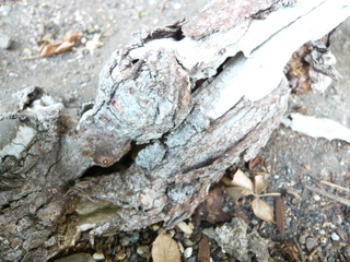 b0200240_15584552.jpg