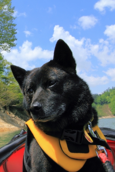 Early summer kayaking！_c0228945_22202232.jpg