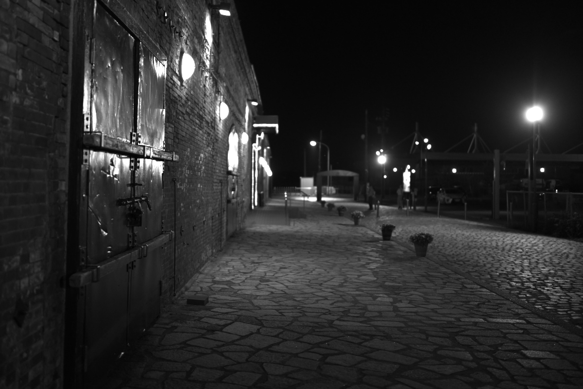 d0001745_1151557.jpg