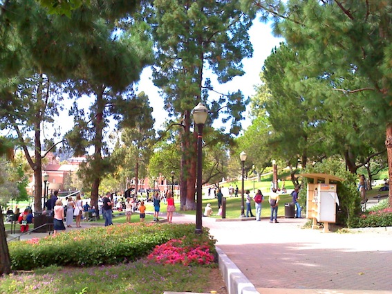 c0121264_1441076.jpg