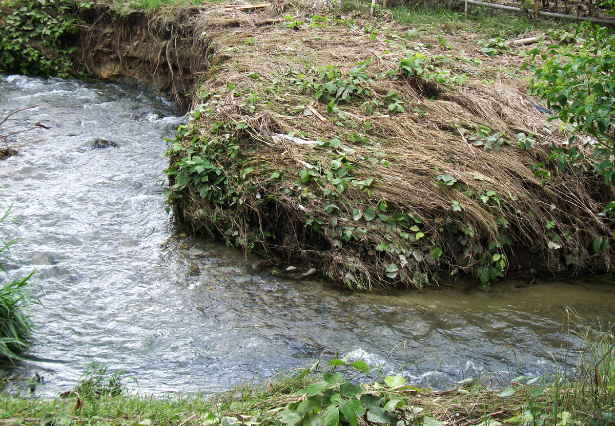 f0215767_16581648.jpg