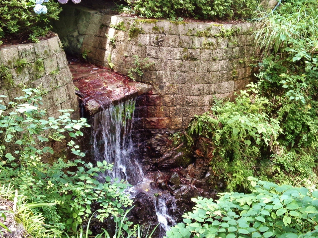 e0126576_17443256.jpg