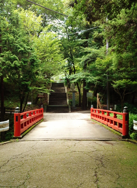 e0126576_1744792.jpg
