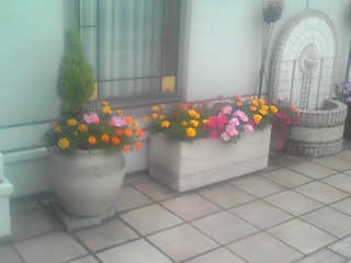 f0200477_0251283.jpg