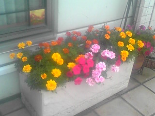 f0200477_0255964.jpg